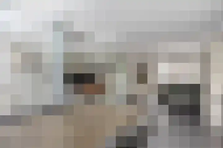 Kamillestraat 3 Beek en Donk thumbnail 7