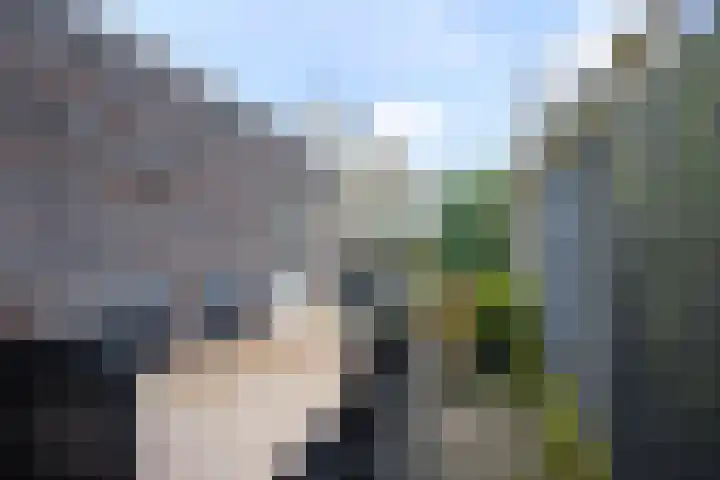Kamillestraat 3 Bergeijk thumbnail 19