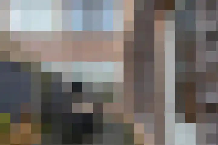 Kamillestraat 3 Bergeijk thumbnail 20