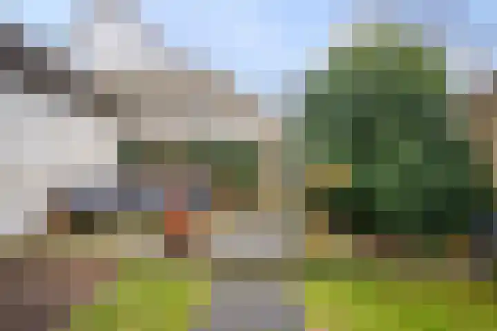 Kamillestraat 3 Bergeijk thumbnail 21