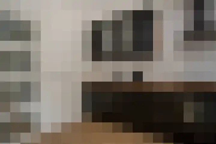 Kamillestraat 3 Bergeijk thumbnail 5