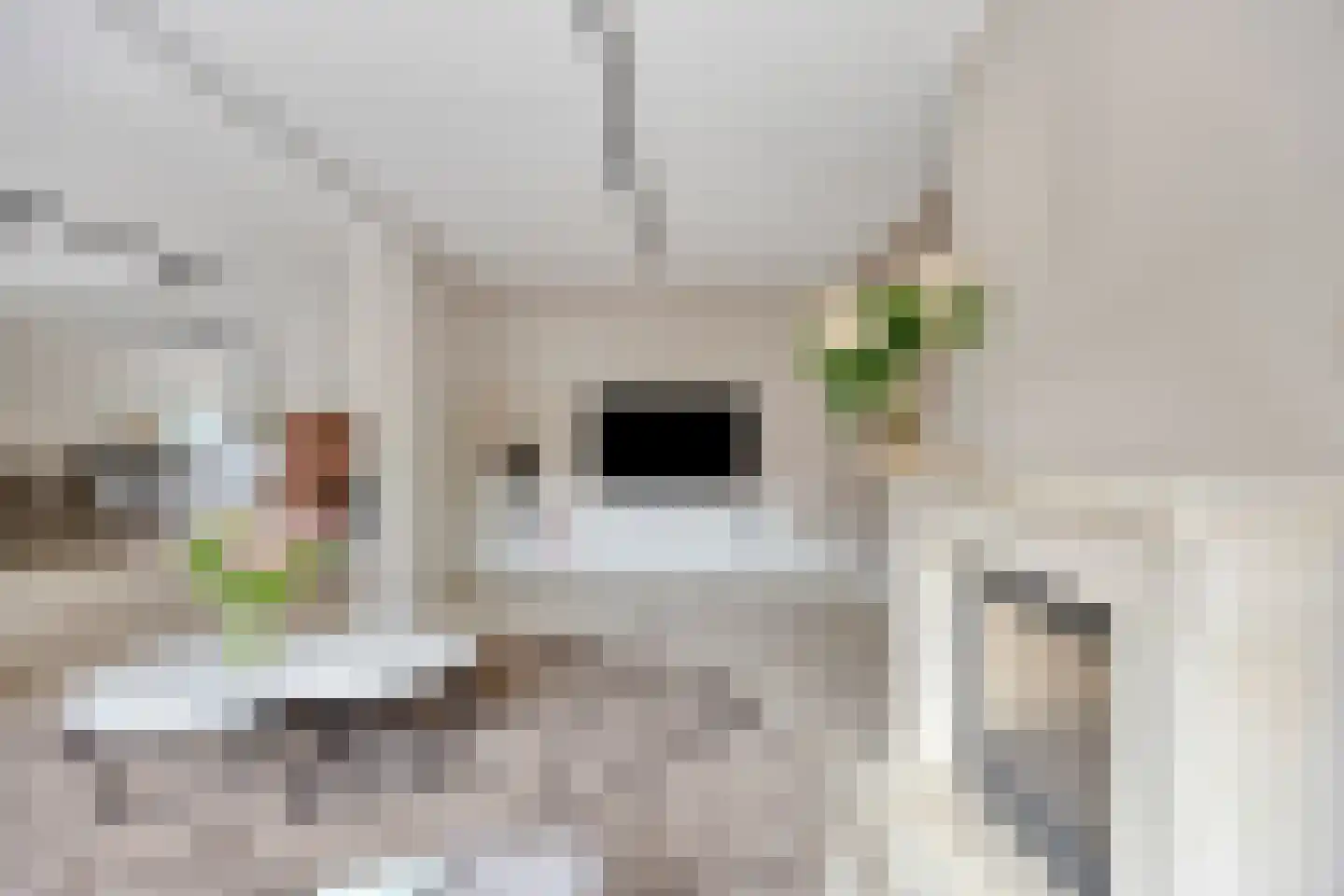 Kamillestraat 3 Wateringen thumbnail 10