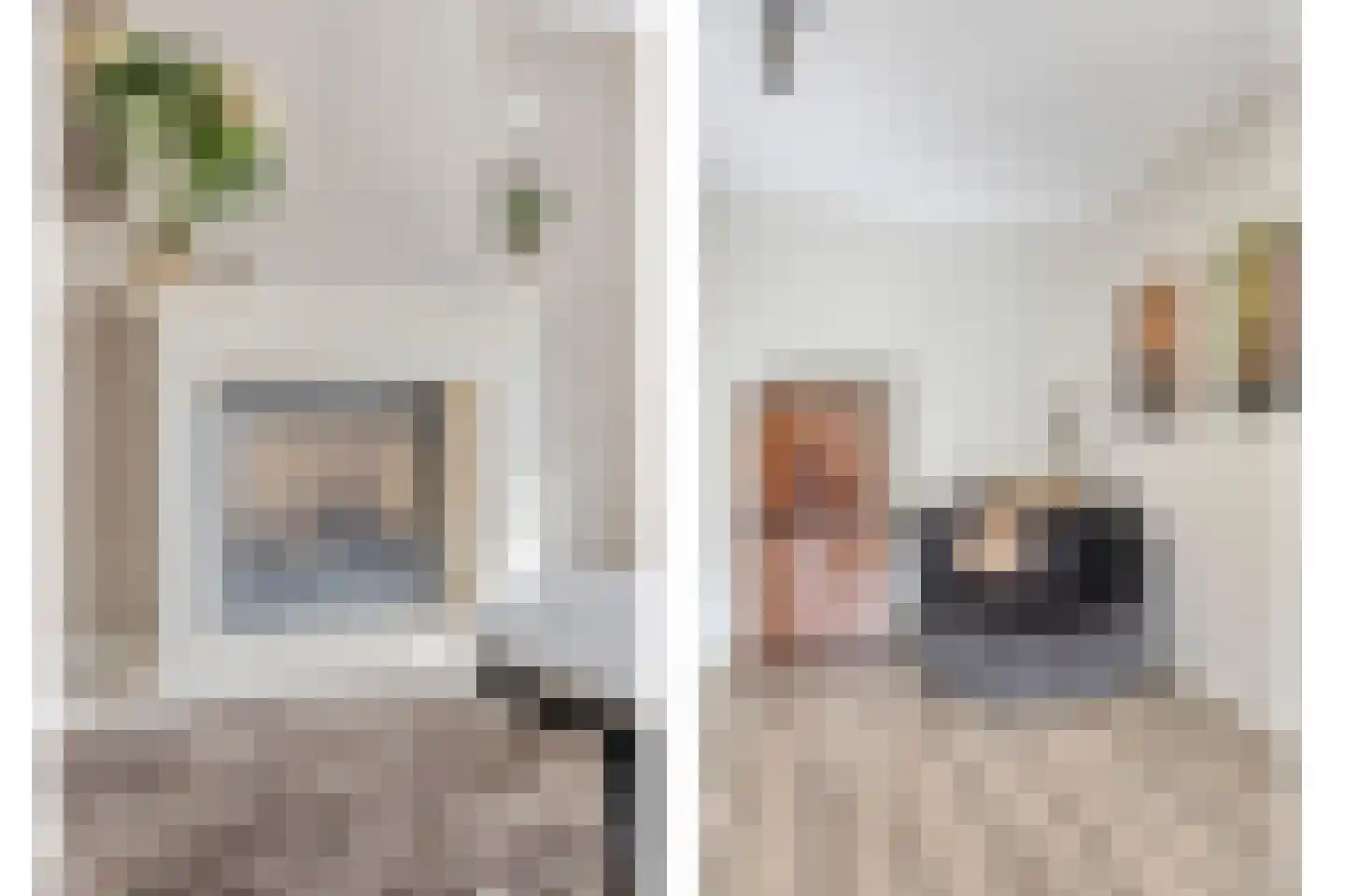 Kamillestraat 3 Wateringen thumbnail 11