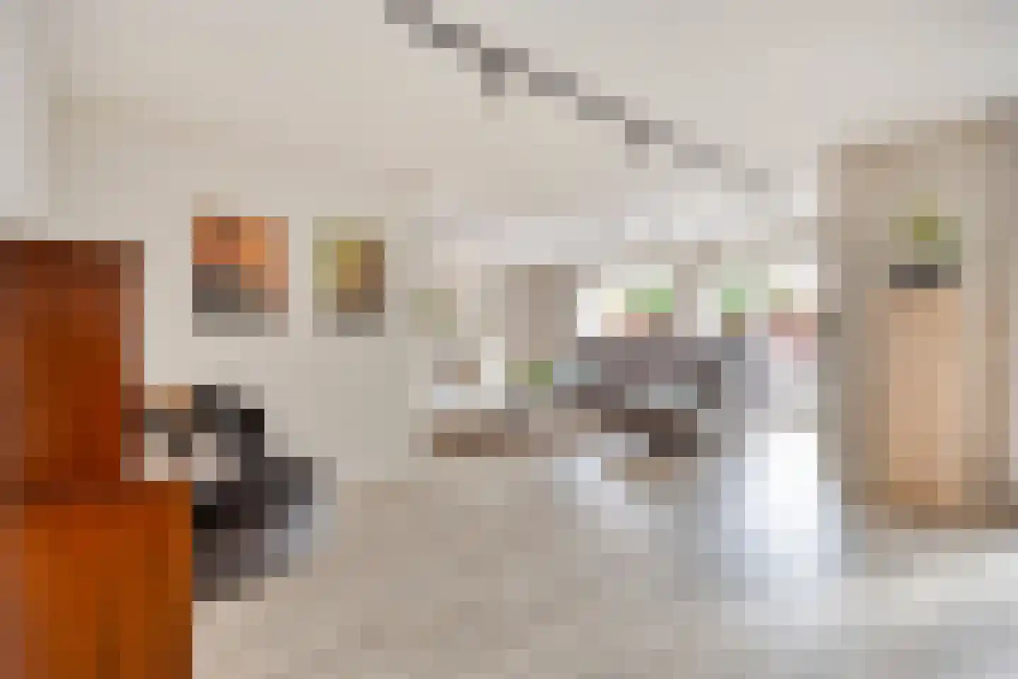 Kamillestraat 3 Wateringen thumbnail 12