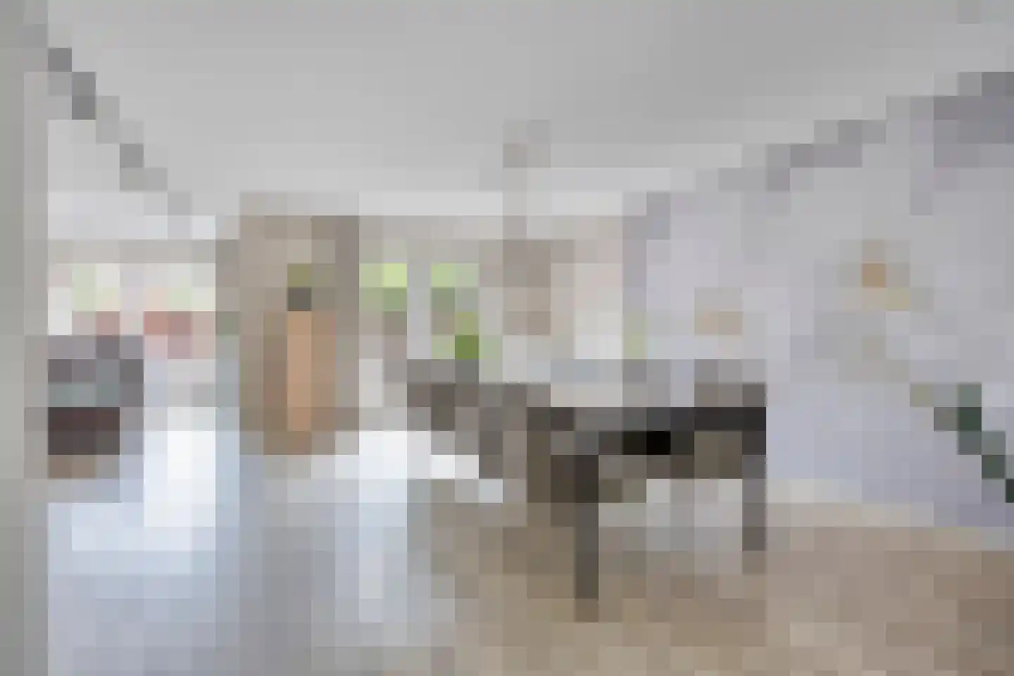 Kamillestraat 3 Wateringen thumbnail 13