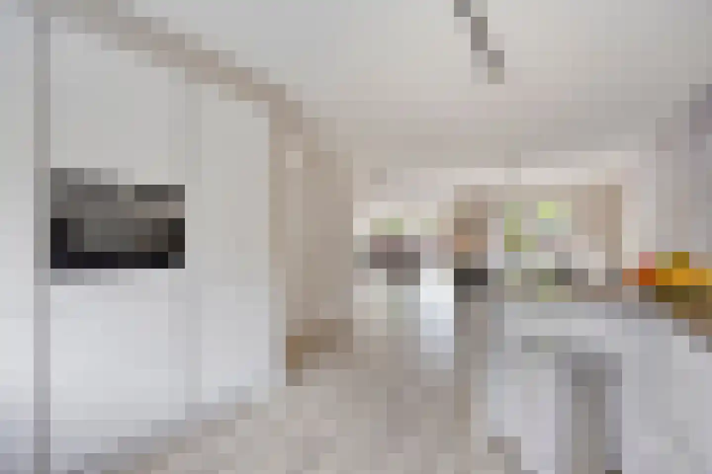 Kamillestraat 3 Wateringen thumbnail 14
