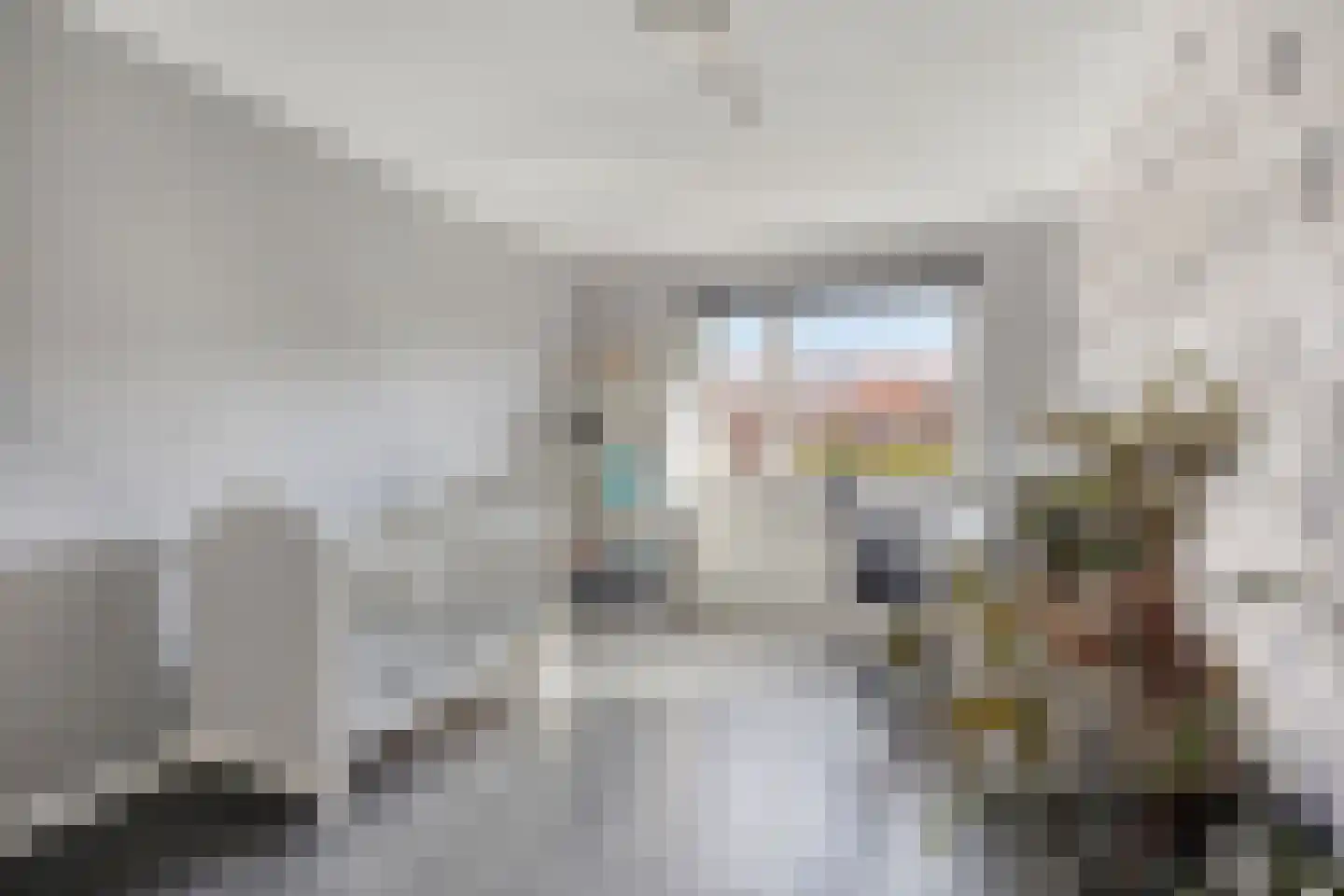 Kamillestraat 3 Wateringen thumbnail 27