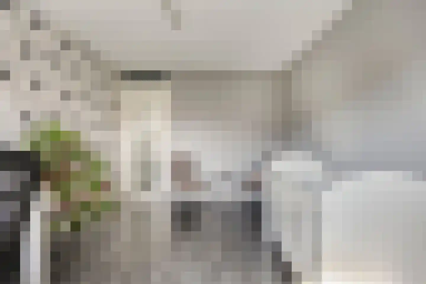 Kamillestraat 3 Wateringen thumbnail 28