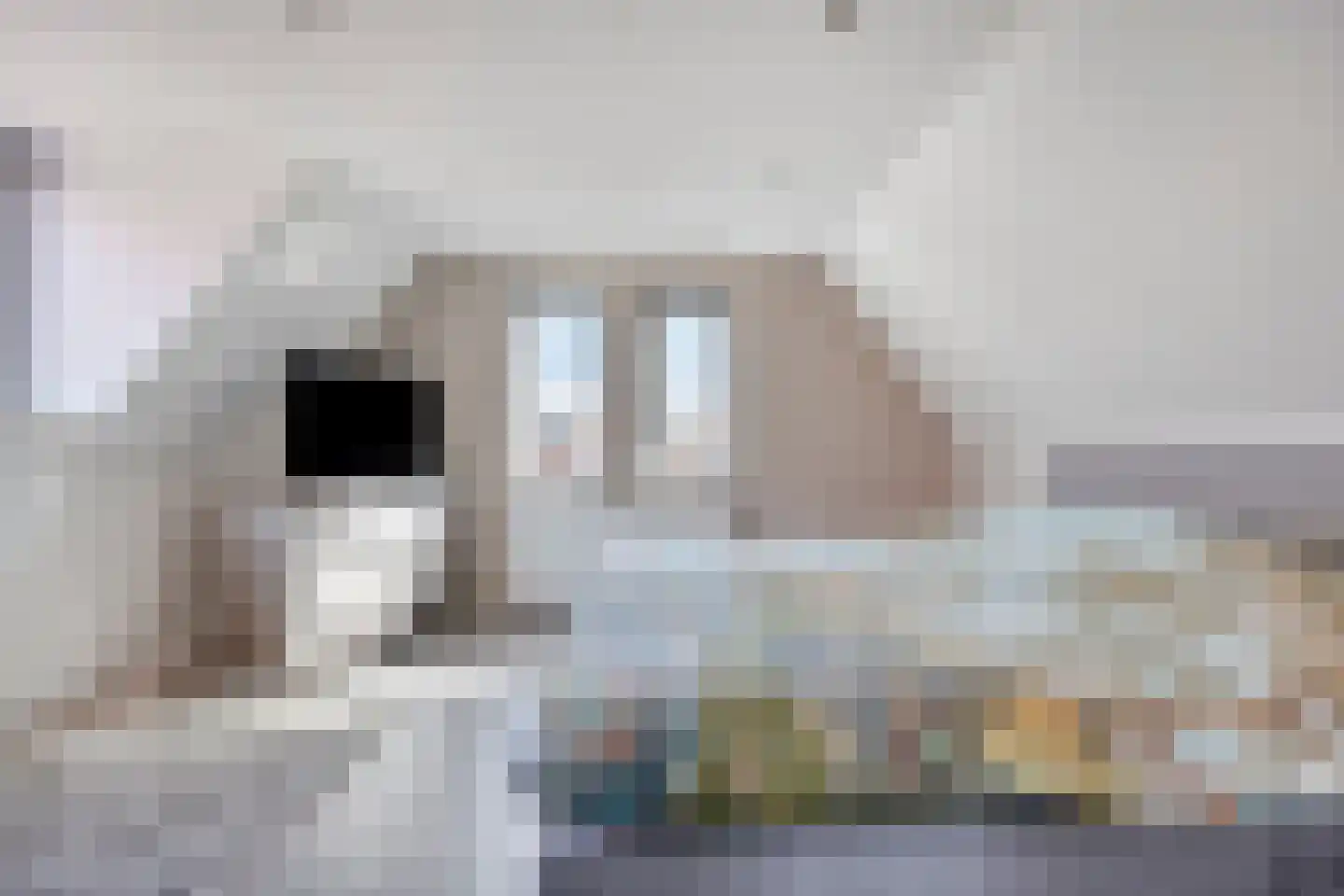 Kamillestraat 3 Wateringen thumbnail 30