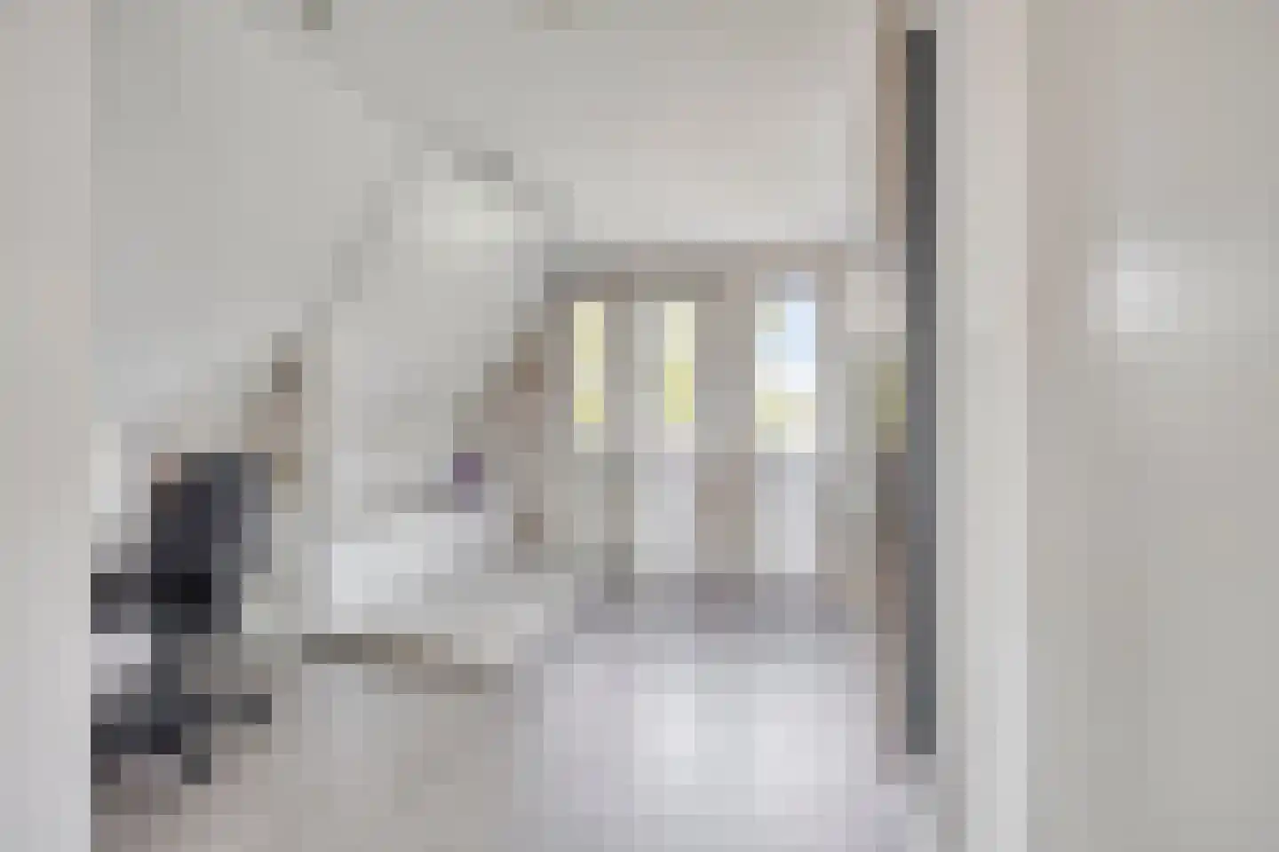 Kamillestraat 3 Wateringen thumbnail 32