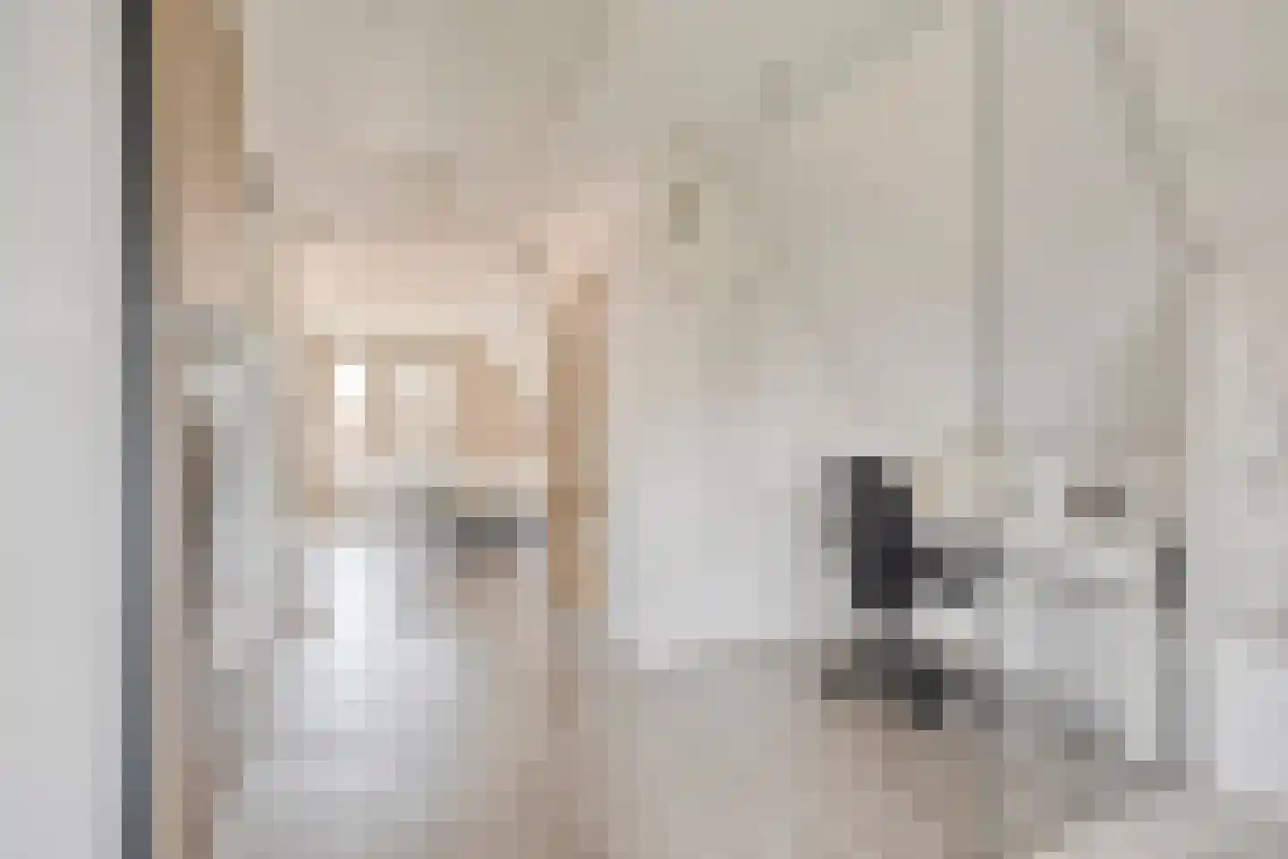 Kamillestraat 3 Wateringen thumbnail 33