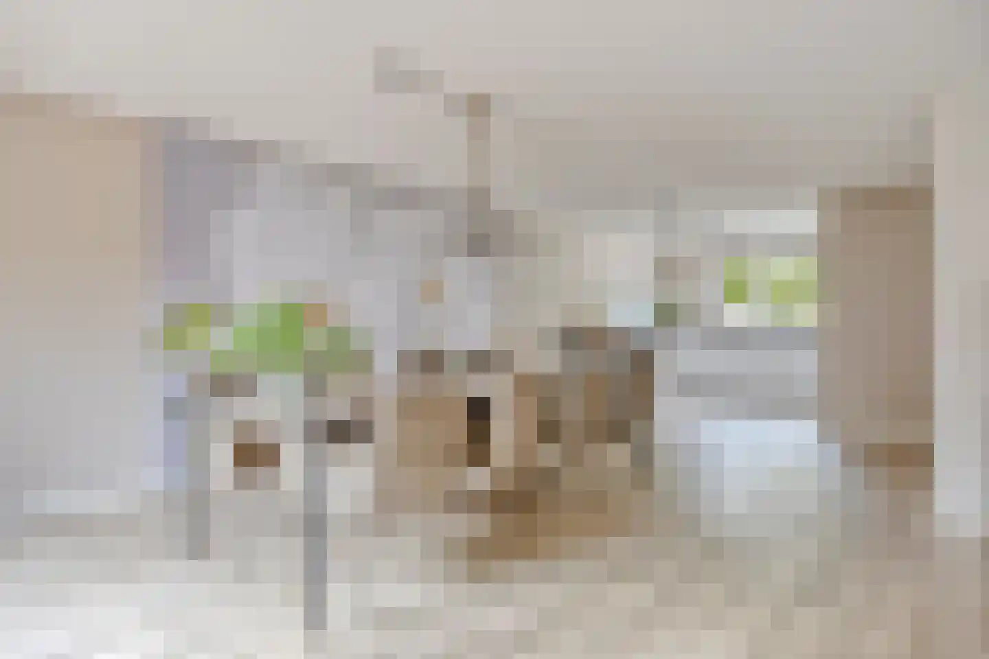 Kamillestraat 3 Wateringen thumbnail 4