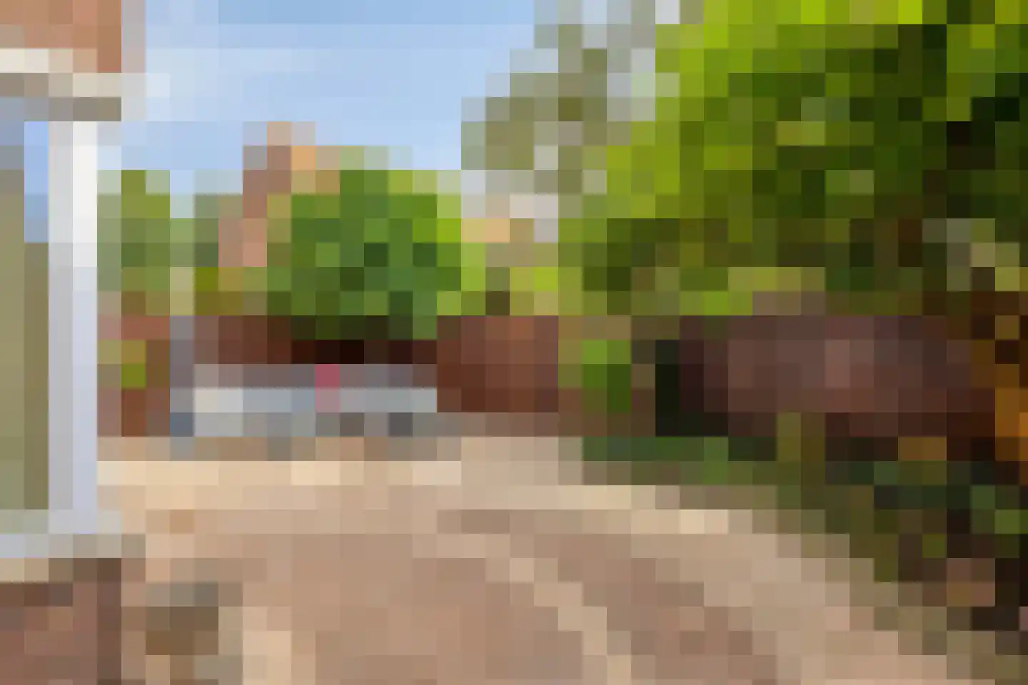 Kamillestraat 3 Wateringen thumbnail 6