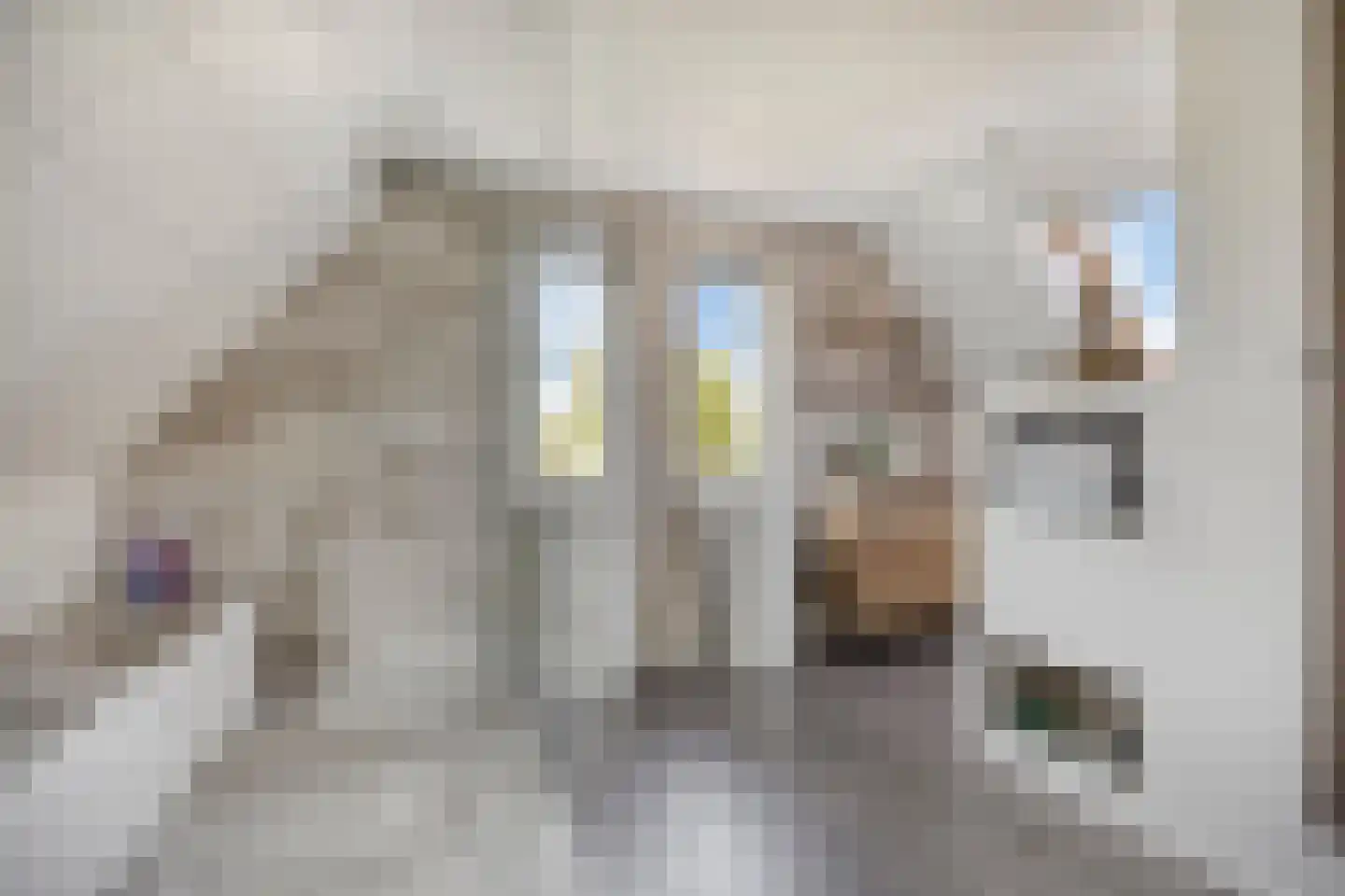 Kamillestraat 3 Wateringen thumbnail 7