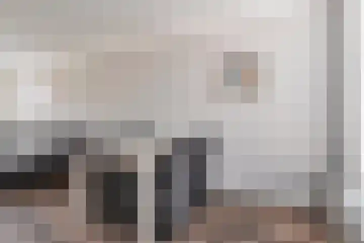 Kamillestraat 30 Beek en Donk thumbnail 11