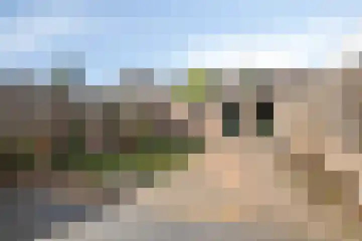 Kamillestraat 30 Beek en Donk thumbnail 28