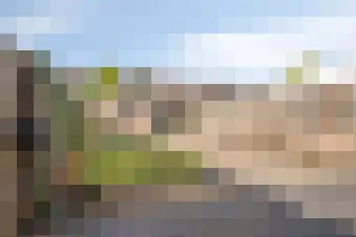Kamillestraat 30 Beek en Donk thumbnail 29