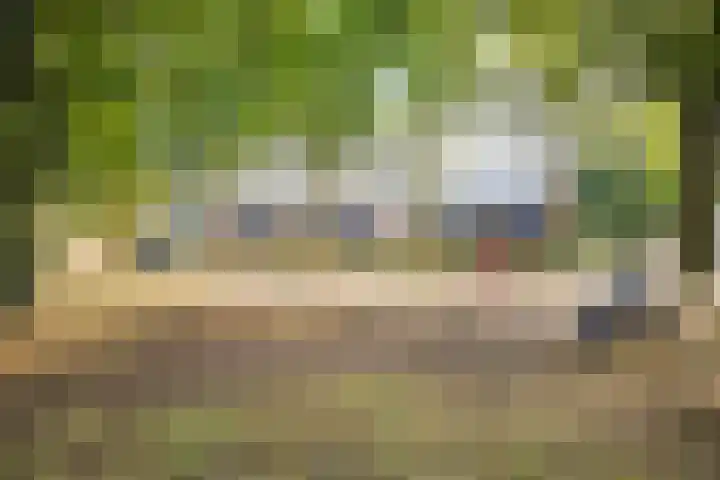 Kamillestraat 30 Beek en Donk thumbnail 32