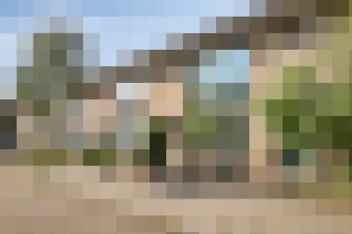 Kamillestraat 30 Beek en Donk thumbnail 6