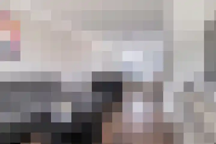 Kamillestraat 30 Beek en Donk thumbnail 9
