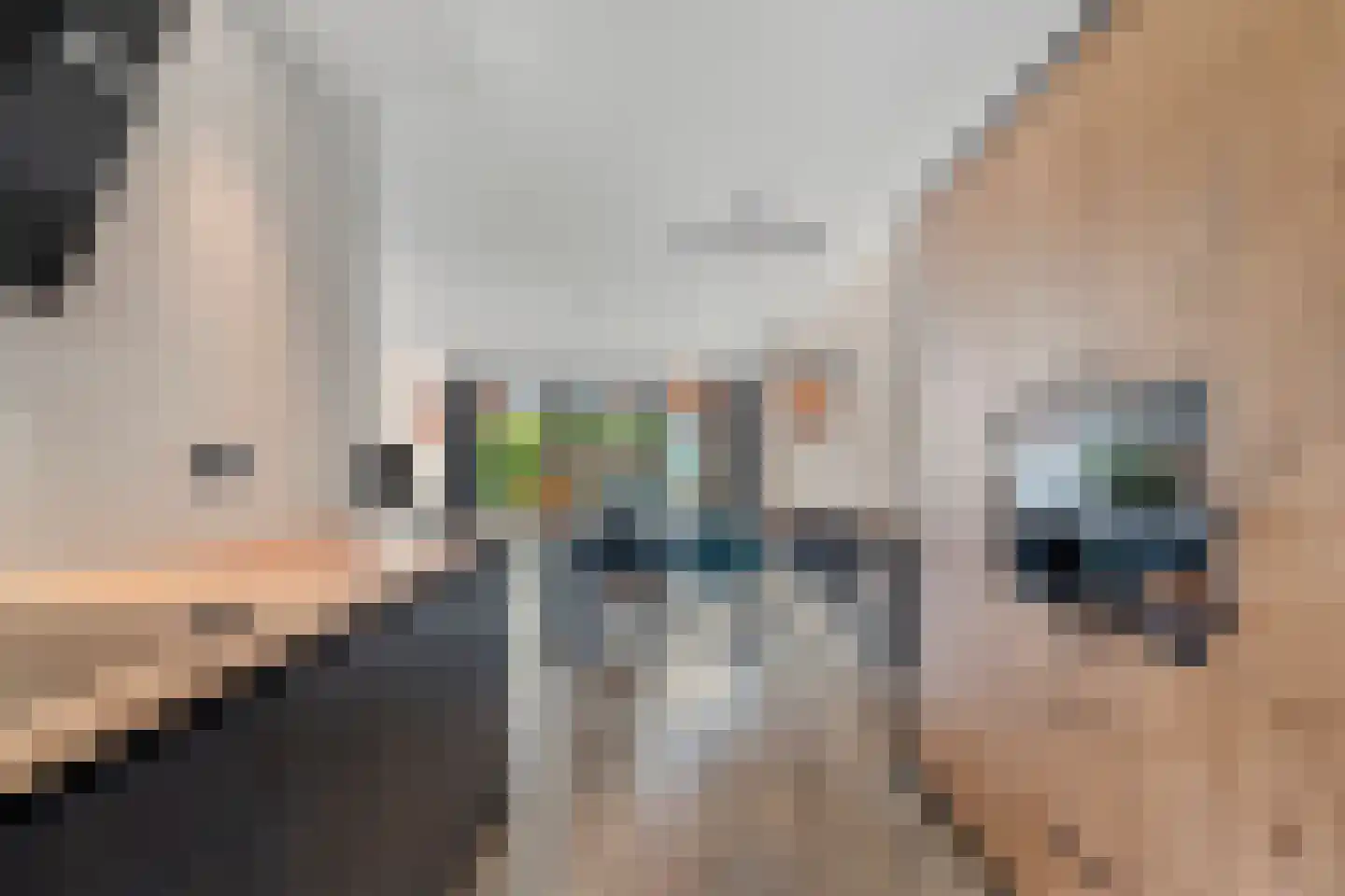 Kamillestraat 30 Nijmegen thumbnail 24