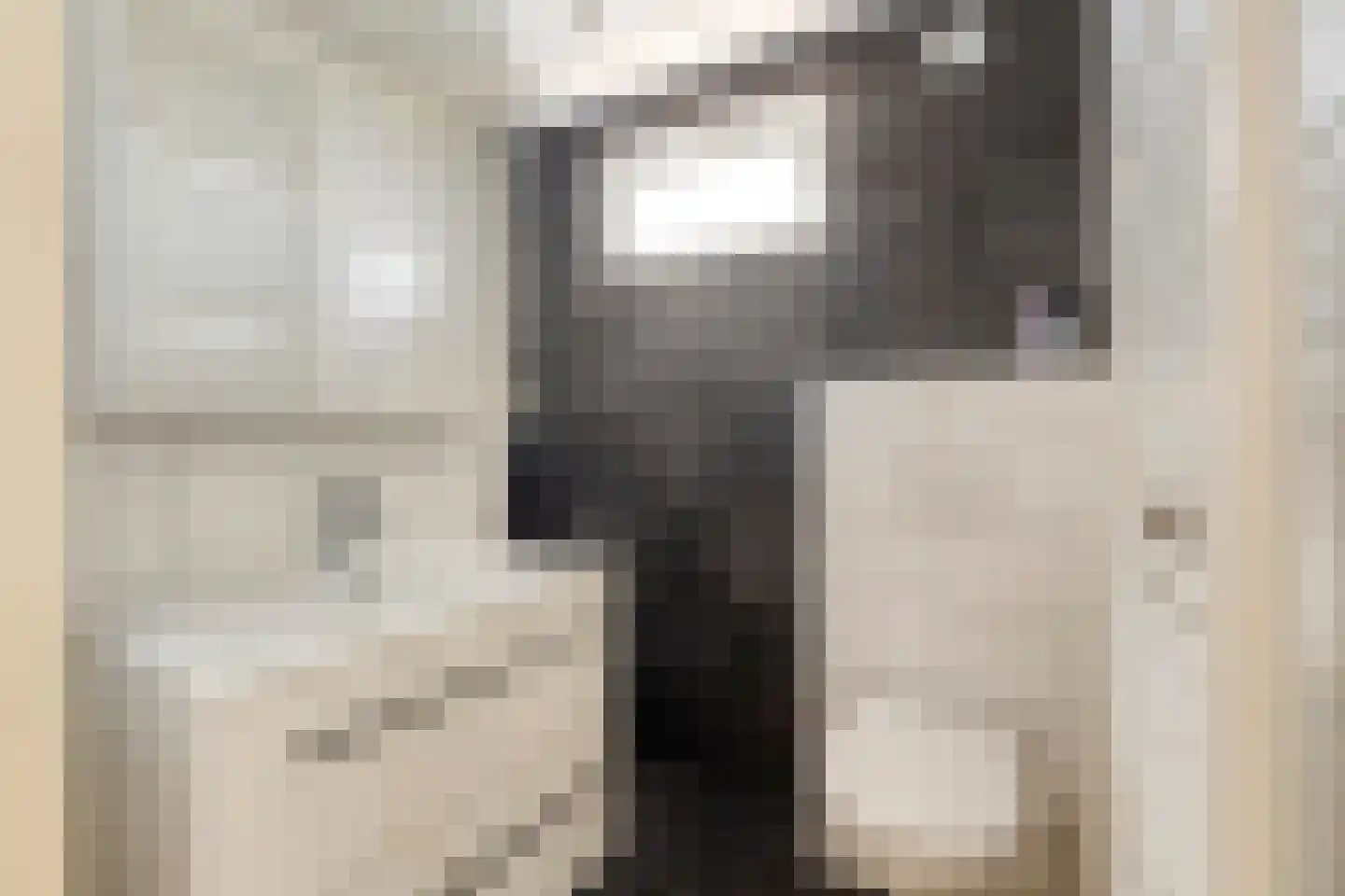Kamillestraat 36 Beek en Donk thumbnail 20
