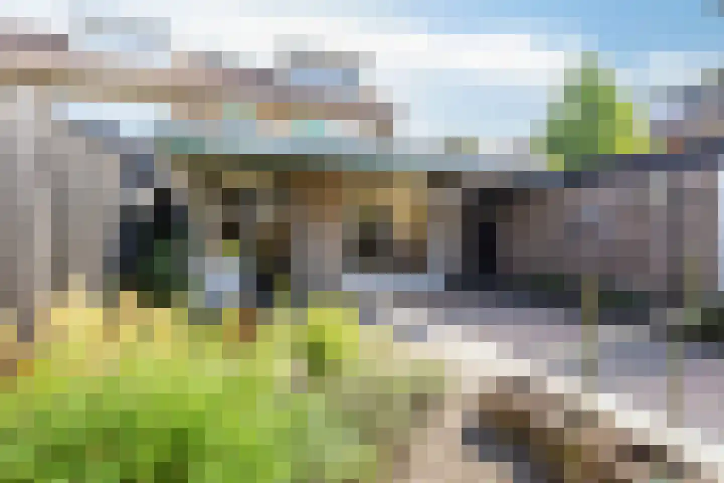Kamillestraat 36 Beek en Donk thumbnail 32