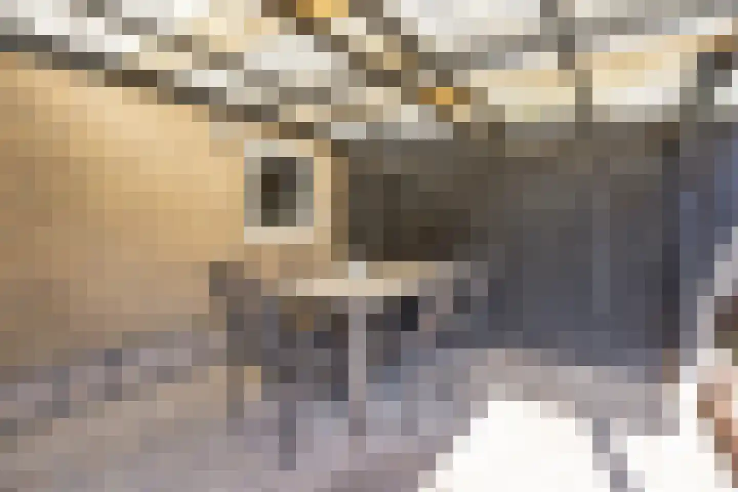 Kamillestraat 36 Beek en Donk thumbnail 33
