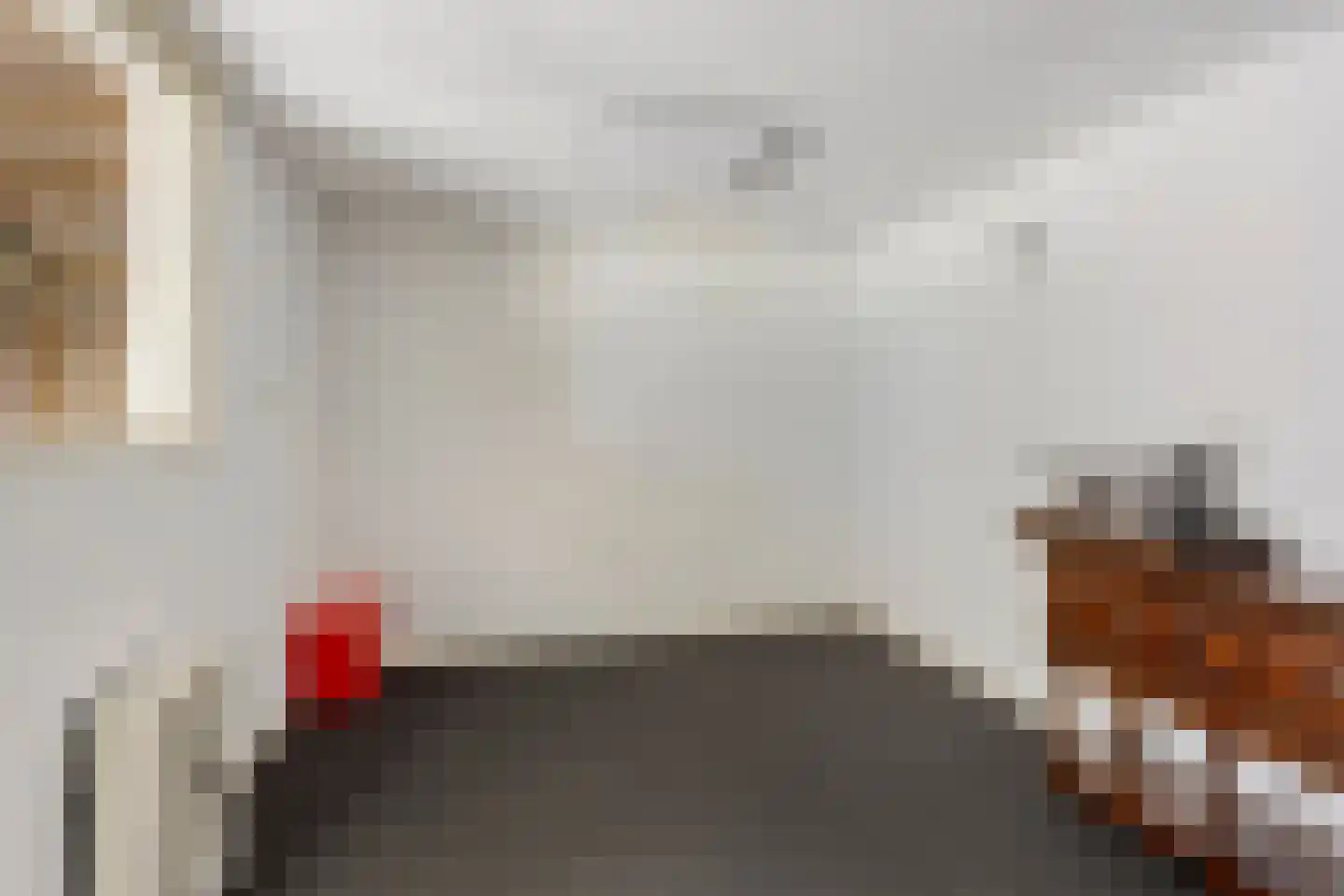 Kamillestraat 36 Beek en Donk thumbnail 34