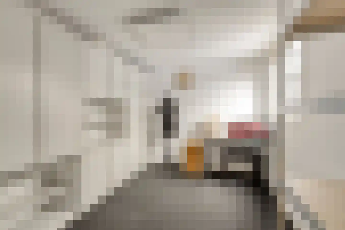 Kamillestraat 36 Beek en Donk thumbnail 36