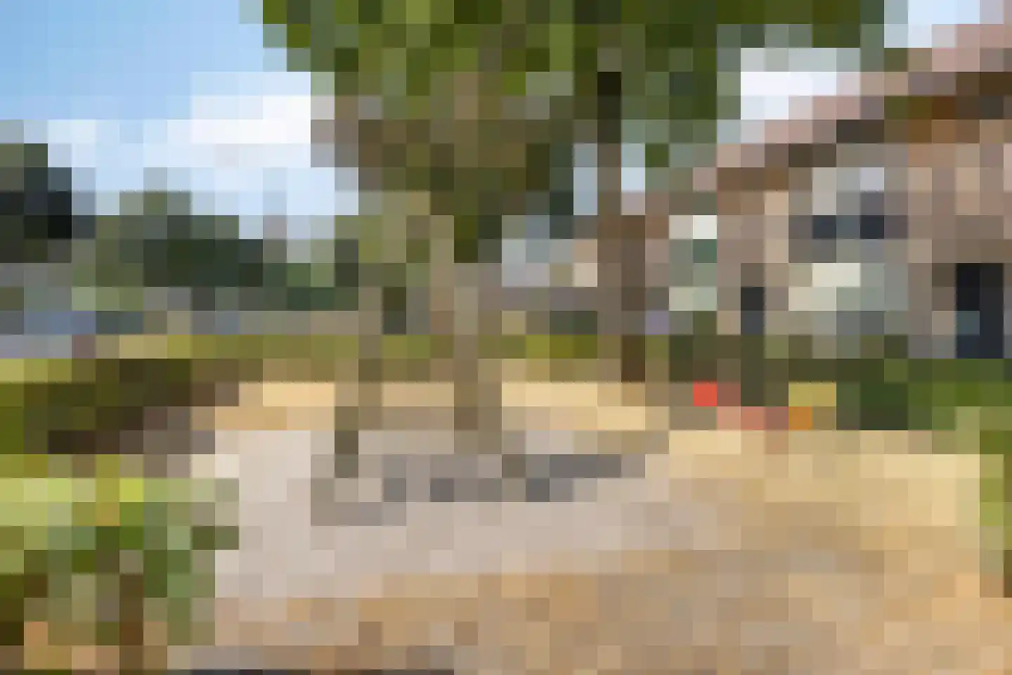 Kamillestraat 36 Beek en Donk thumbnail 38