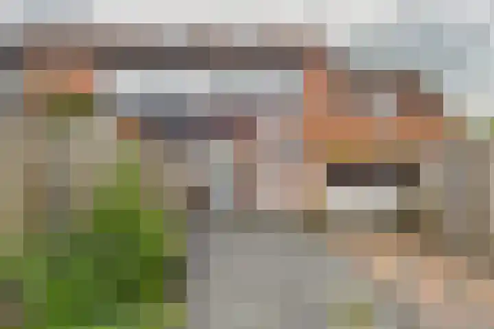 Kamillestraat 37 Terneuzen thumbnail 24