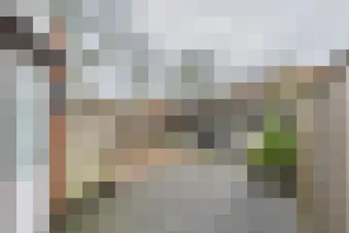 Kamillestraat 37 Terneuzen thumbnail 25