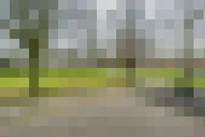Kamillestraat 37 Terneuzen thumbnail 27