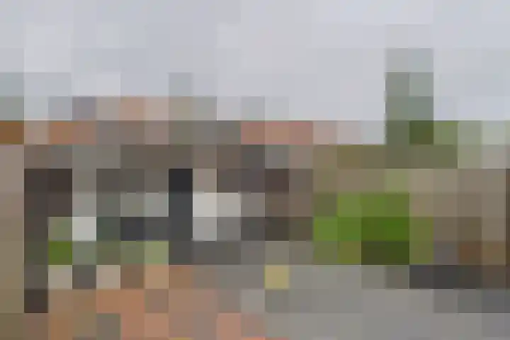 Kamillestraat 37 Terneuzen thumbnail 4