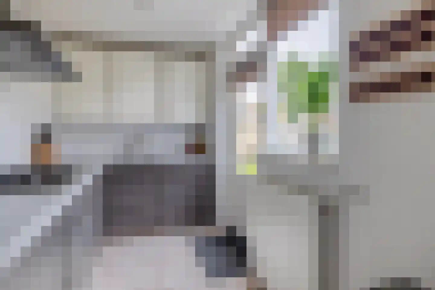 Kamillestraat 6 Zevenbergen thumbnail 16
