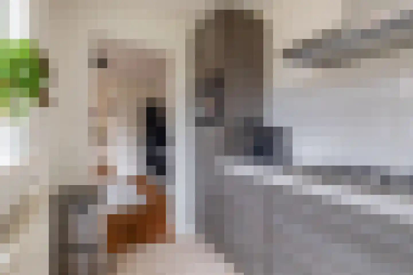 Kamillestraat 6 Zevenbergen thumbnail 17