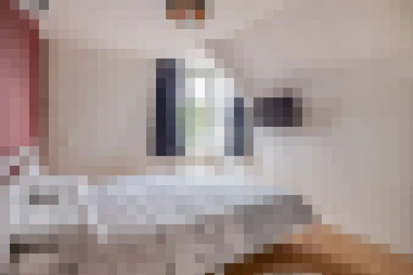 Kamillestraat 6 Zevenbergen thumbnail 20