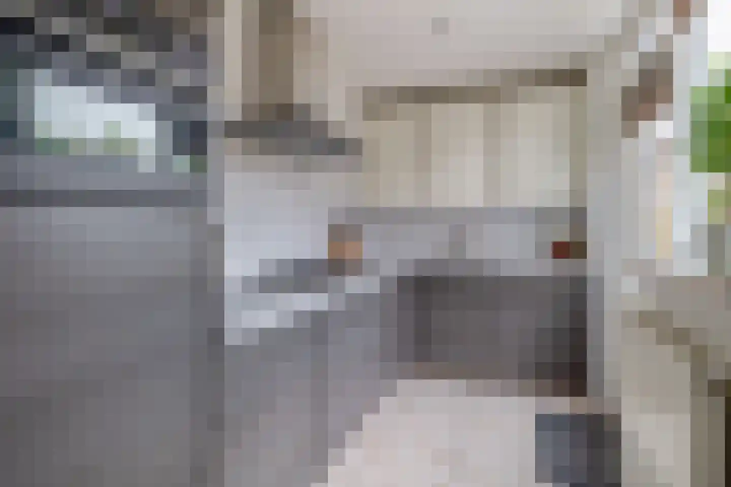 Kamillestraat 6 Zevenbergen thumbnail 4