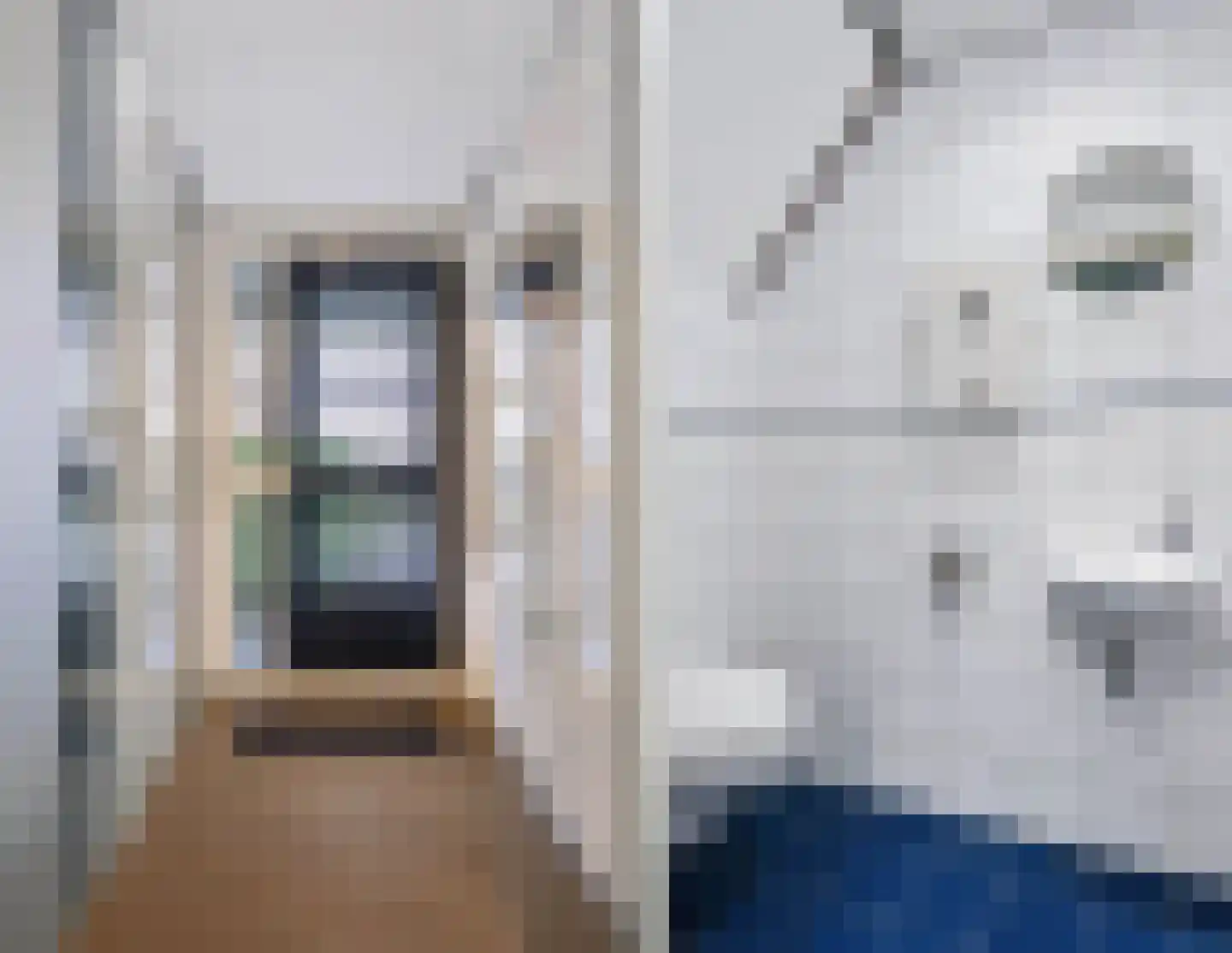 Kamillestraat 7 Apeldoorn thumbnail 17