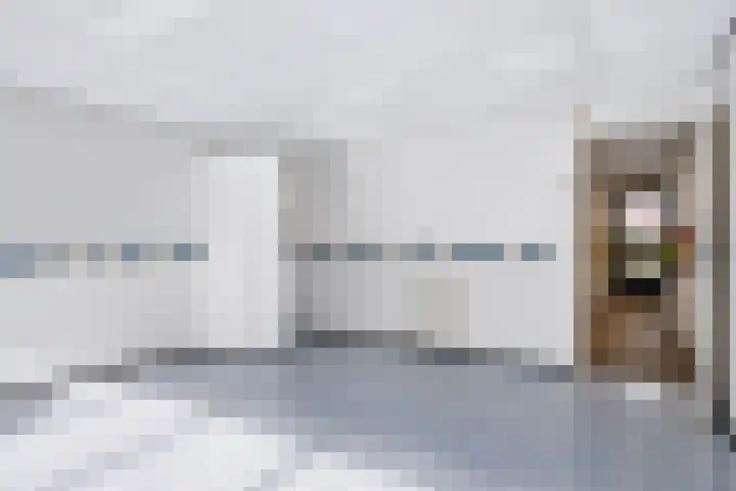 Kamillestraat 7 Apeldoorn thumbnail 20
