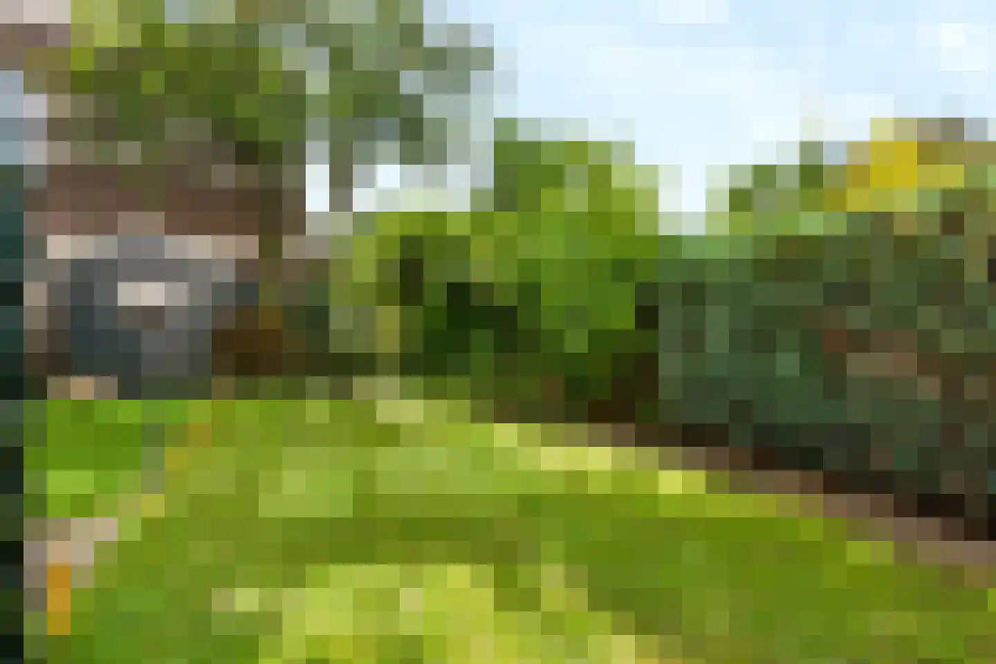 Kamillestraat 7 Apeldoorn thumbnail 22