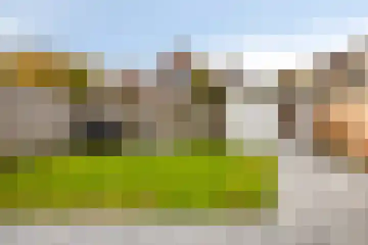 Kamillestraat 8 Zevenbergen thumbnail 23