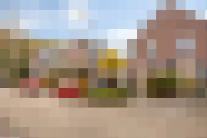 Kamillestraat 8 Zevenbergen thumbnail 4