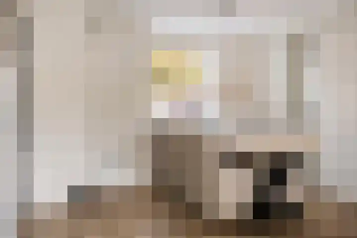 Kamillestraat 8 Zevenbergen thumbnail 7