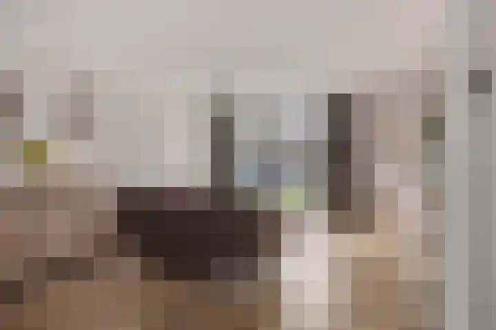 Kamillestraat 8 Zevenbergen thumbnail 8