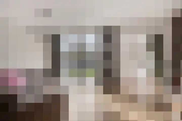 Kamillestraat 8 Zevenbergen thumbnail 9