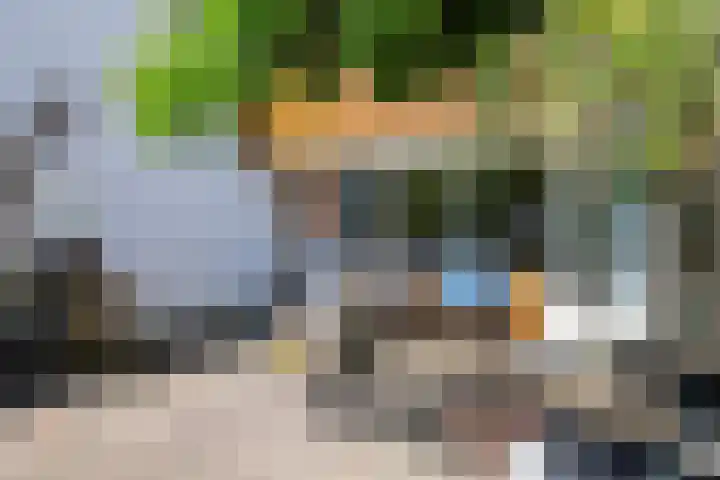 Kamillestraat 9 Apeldoorn thumbnail 31