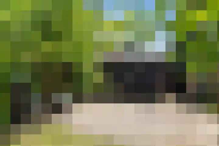 Kamillestraat 9 Apeldoorn thumbnail 33
