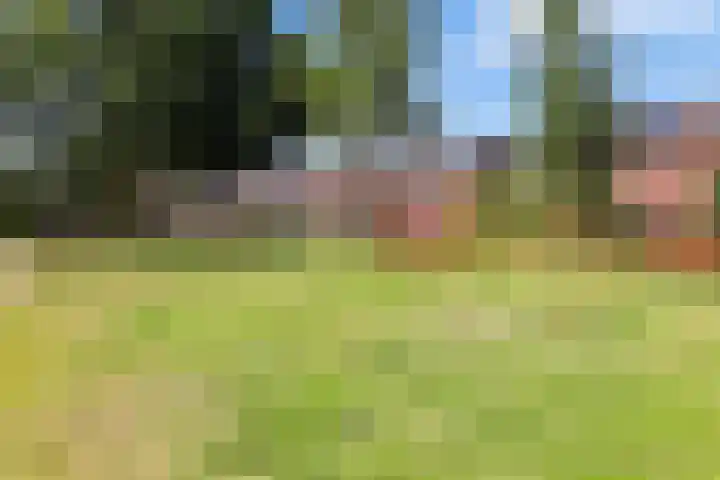 Kamillestraat 9 Apeldoorn thumbnail 36